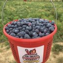 전천후농장 이미지