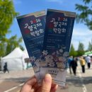 꽃;이어라 | 고양 국제 꽃 박람회 2025에 이어 2026 다녀온 후기
