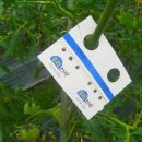 흙사랑농장 이미지