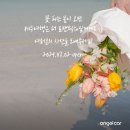 (주)엔젤렌트카 이미지