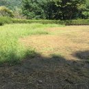 영평농장 이미지