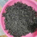 삽겹살 구워드실때도 같이 구워드시면 맛도 좋고 톳밥 톳전 톳된장국 톳무침등 해드실수 있는 제주도 자연산 말린톳 주문받습니다 이미지