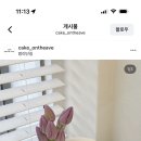 케이크온디애브