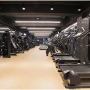 머슬마인드 구로디지털 본점 이미지