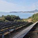 대교 태양광발전소 이미지