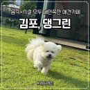댕그리 | [김포] 댕그린 애견카페ㅣ강아지 운동장+루프탑까지! 음식도 맛있고 대만족한 #내돈내산 후기