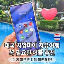 성지유치원 | 한달살기 성지 태국 치앙마이 자유여행 필수 어플 추천 및 사용 후기