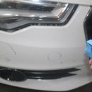 본토손가장 이미지