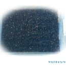 점박이 농장 이미지