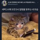 지금은 그저 쉬고만 싶은