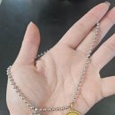 막둥이애견 | 울집 막둥이 반려동물 인식표 러비펫 애견목걸이 후기