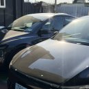 Y·B MOTORS | [공지] 울산 테슬라 썬팅 신차패키지 / 생활보호 PPF 7종 무상 + 썬팅까지 한번에!