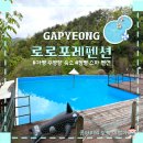 로로포레 이미지