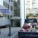 해담솔유치원 이미지