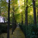 독서당공원 이미지