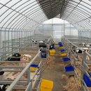 밀키웨이목장 이미지