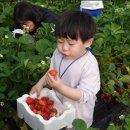 부여서울 이미지