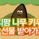 머니폴