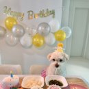 까까뭉치 이미지