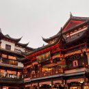 🇨🇳 상하이 예원 외부만 관람한 후기 (대호춘 예원점, 관광 소요 시간, 고덕지도 주소)