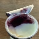 하이드힐 | 호주 시드니 혼자여행 7박9일 Day3. 싱글오 플랫화이트, 하이드파크 산책, 자연사박물관