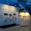 목포어린이바다과학관 이미지