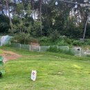 몽몽정원 이미지