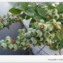 미르농장 이미지