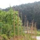 진천식당 이미지