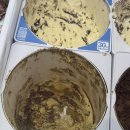 드림랜드,스타벅스 사거리(베스킨라빈스) | 베스킨라빈스 두바이에서 온 엄마는 외계인 이 정도면 품절될 맛? 다들 난리던데요