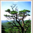 대공산성 등산로 이미지