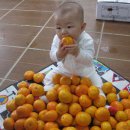 유찬식품 이미지