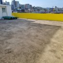 바미애견유치원 이미지