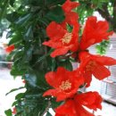 신천리슈퍼 이미지