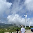 강원목장 | 🌾 한여름 강원 평창 삼양목장 후기🐄