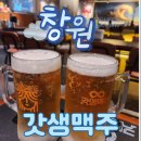 생활맥주창원상남점 | 상남동 맥주 무제한 제대로 즐기는 곳, 갓생맥주 창원상남점 후기