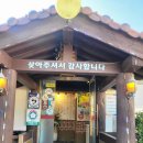 대청채소