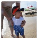 호야목장 이미지