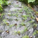 삿갓농장 이미지