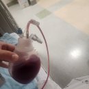 [광고] 자궁근종 수술 찐 후기