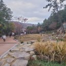 대천공원1호 이미지