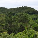 목포현대자동차공업사 이미지