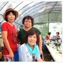 금보농장 이미지