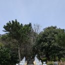 대평목장 이미지