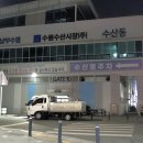 [수원 시청 맛집] 수원에서 제철 해산물을 맛볼 수 있는 수원농수산물도매시장 &#39;영남수산&#39;