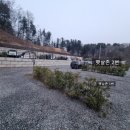 [가평]숲속에 햇살 캠핑장