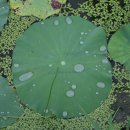 이안 주유소 이미지