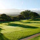 그린 실내 골프연습장 이미지