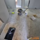 알로하 페키니즈 이미지