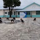 국가대표점핑클럽태권스쿨 이미지
